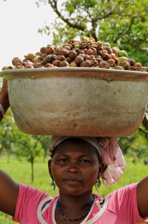 L'histoire de Nubelisse : quand le karité devient un soin